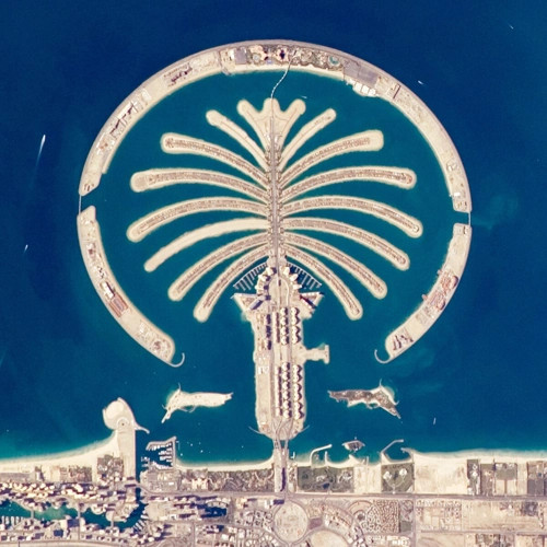 Palm Jumeriah Location Image