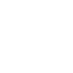 customer