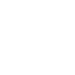 multiple services